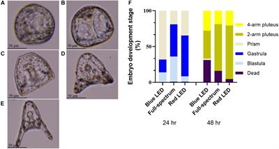 Embryo Development and Behavior in Sea Urchin (Tripneustes gratilla) Under Different Light Emitting Diodes Condition